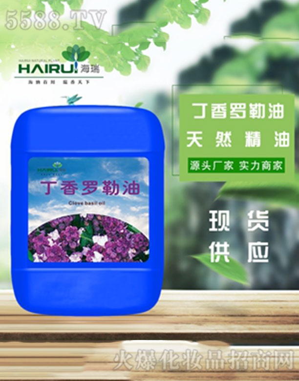 �������_�վ���