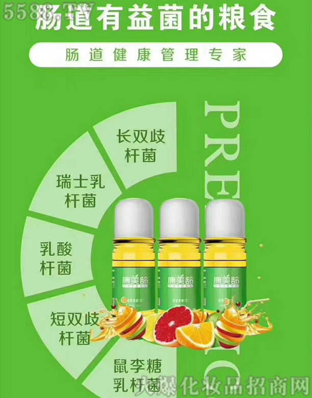 �����g����Ԫ