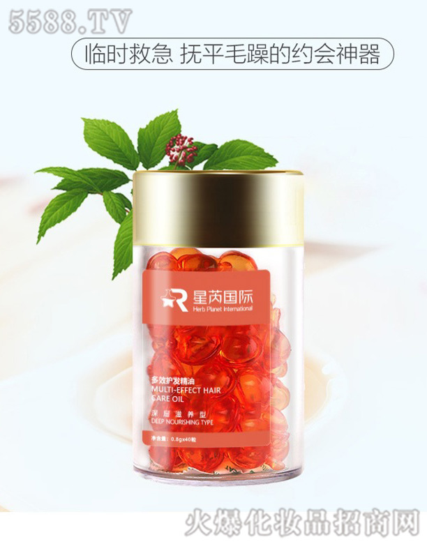 ����Ħ����o�l�����z��