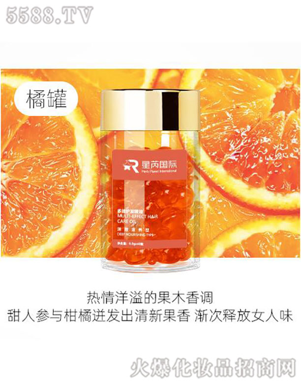 Ħ����o�l(f��)�����z��(������B(y��ng))