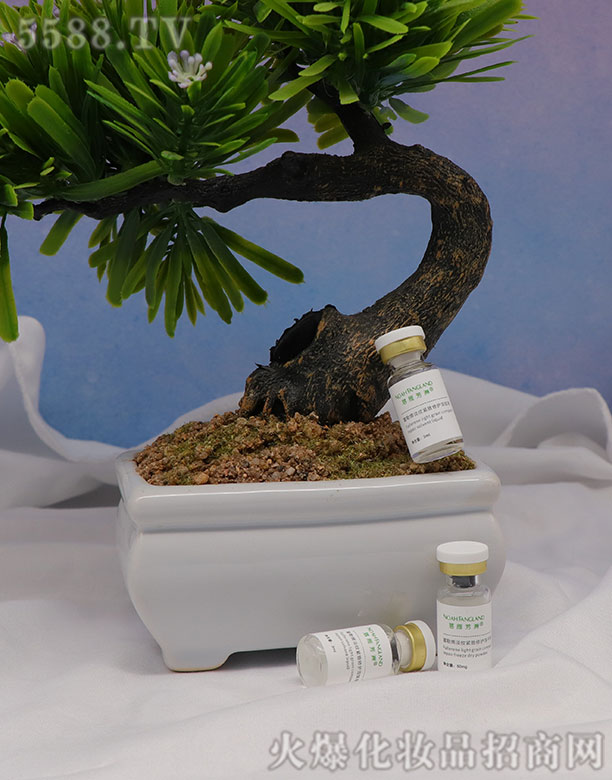 ���㷼�޸���ϩ���y�o�����o���ɷۆ�ֻ