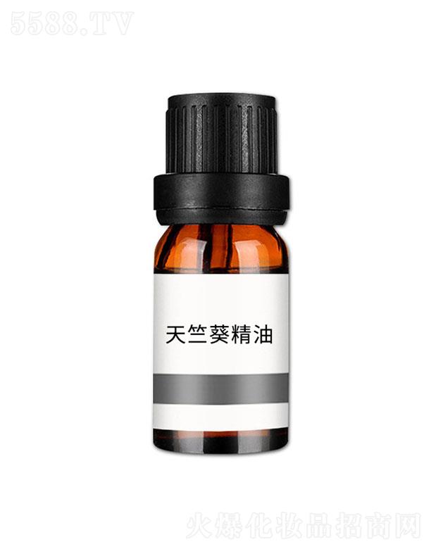 ���n޹�²ݾ���