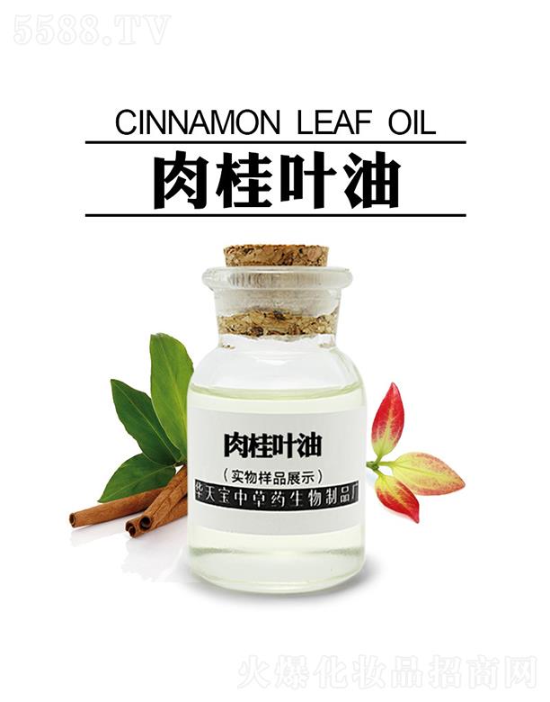 �A�쌚����~��