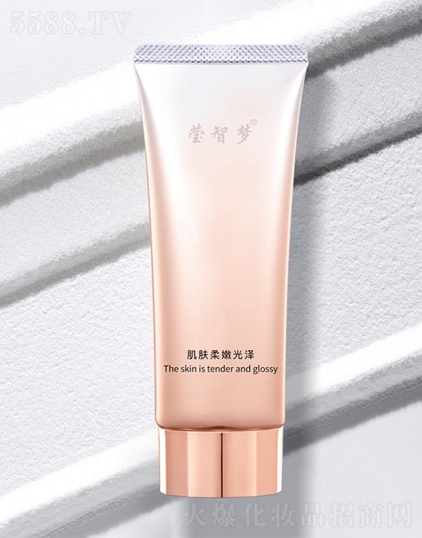 ���ǉ����o���wĤ 100g