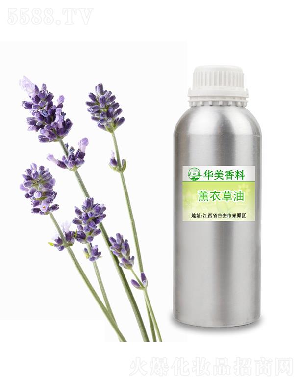 �A��޹�²���