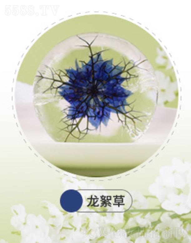 �mԊ���mԊ�𰱻����ֹ���-������