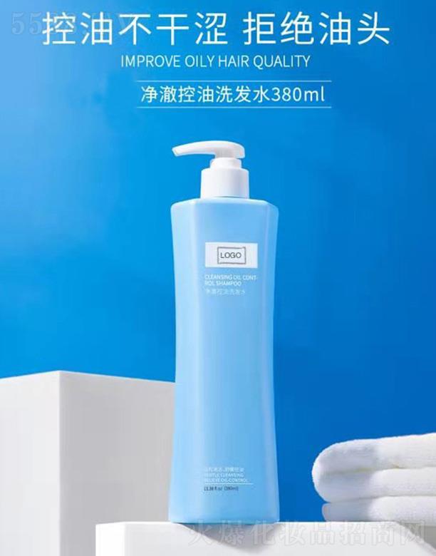 ��������ϴ�lˮ 380ml