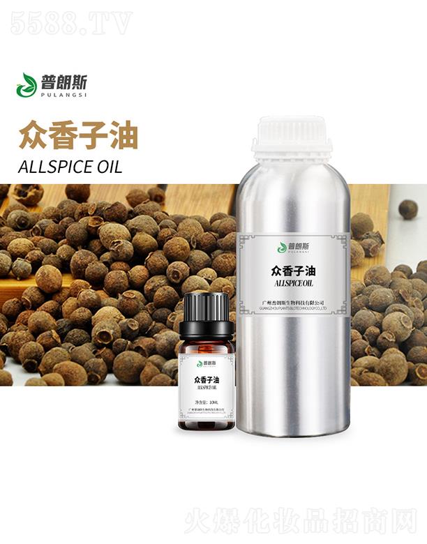 ����˹��������