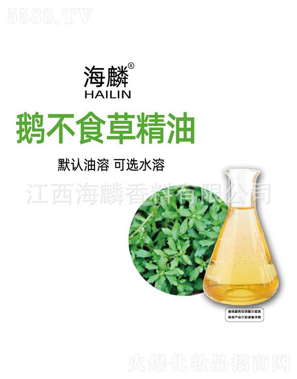 �����Z��ʳ�ݾ���