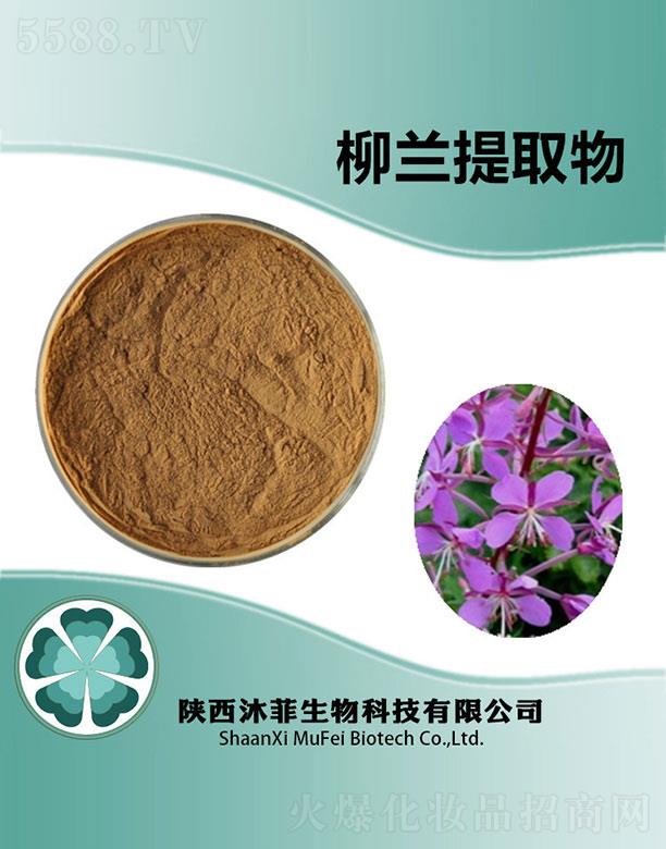 ������m��ȡ��