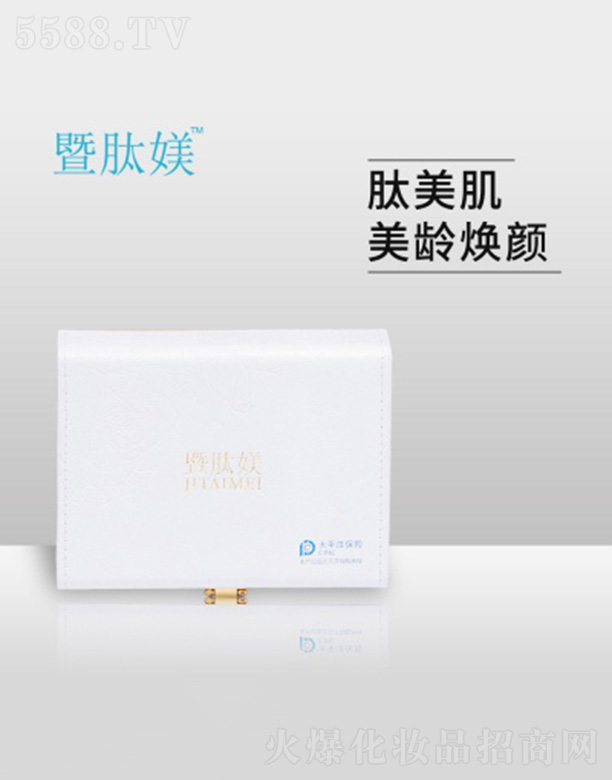 ���ċZ��˥(�)