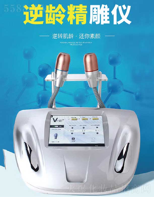 ���g����x