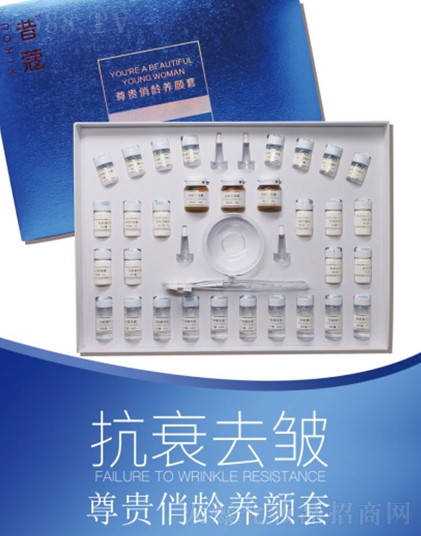 ��ޢ���F���g�B���