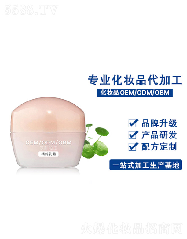 ������˪