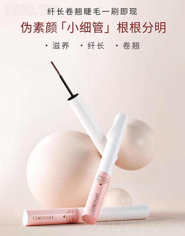 �Ƀ�Ȫ�`���w�L��ë��