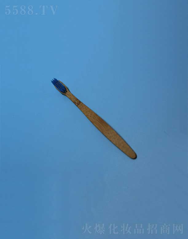 �h�������ˢEFBH-006