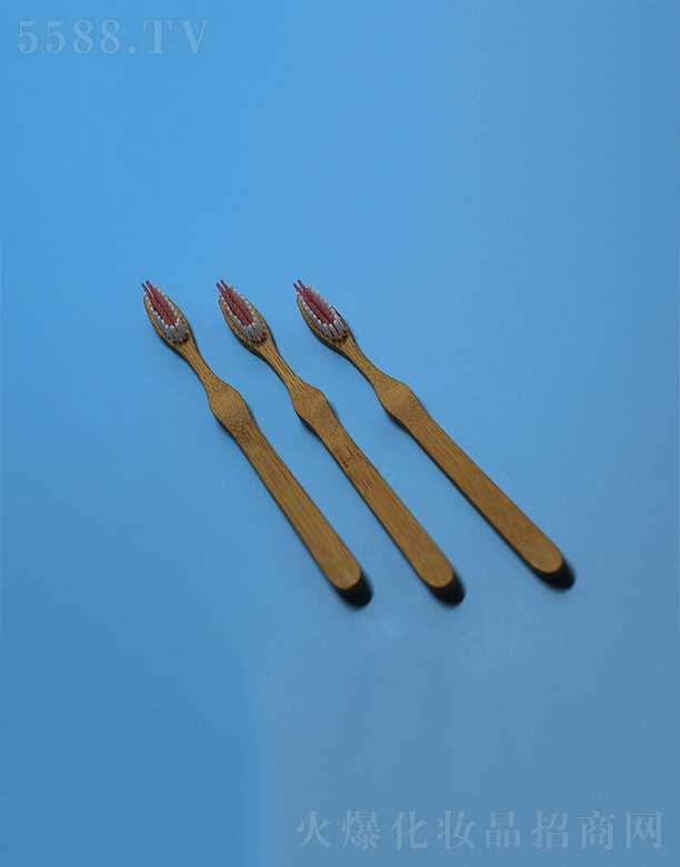 �h�������ˢEFBH-005