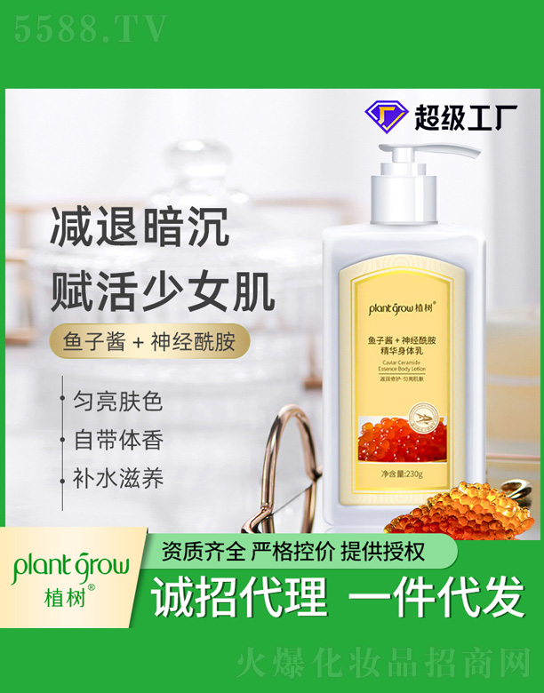 �~���u���������A