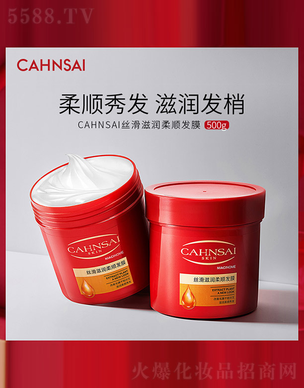 CAHNSAI�z���̝���혰lĤ 500g