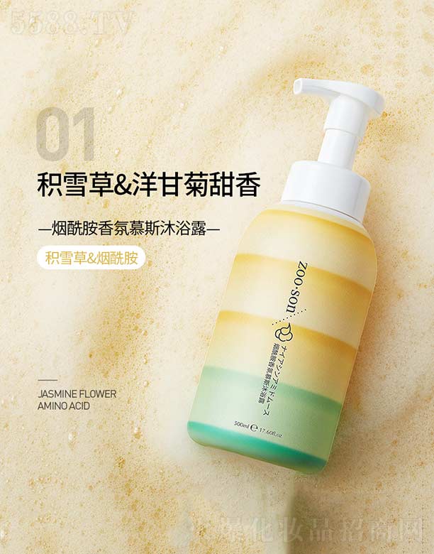 ���������Ľ˹��ԡ¶