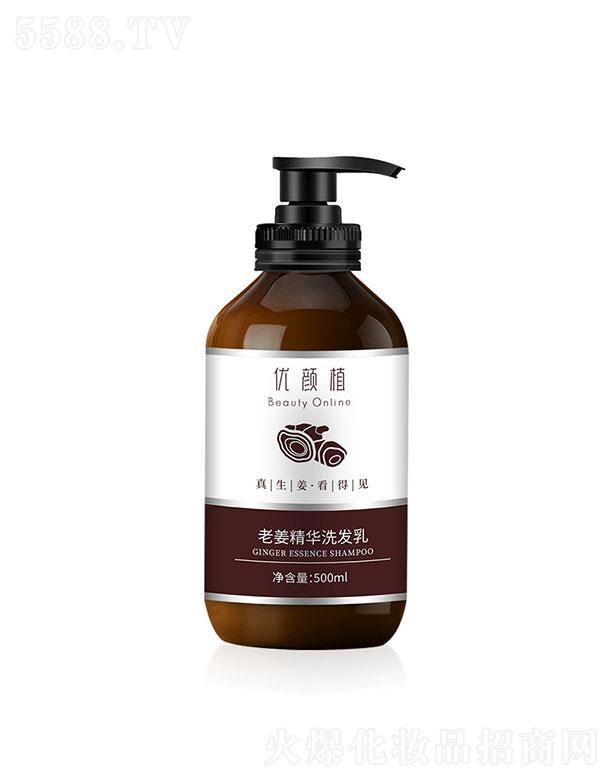 �V�ݳ���   ���ֲ�Ͻ����Aϴ�l¶   ֲ�����Bȥм