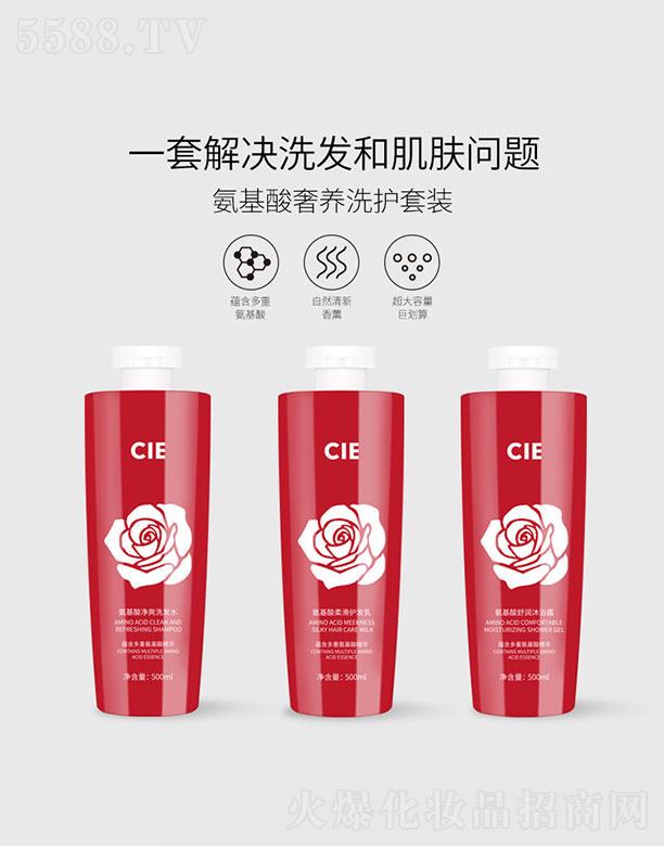 �V�|������   CIE���������Bϴ�o��������   �坍����