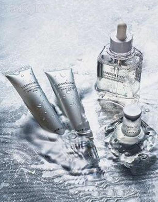 �z��z�Ľ��l�o�� �B�o��l�ʬF�������