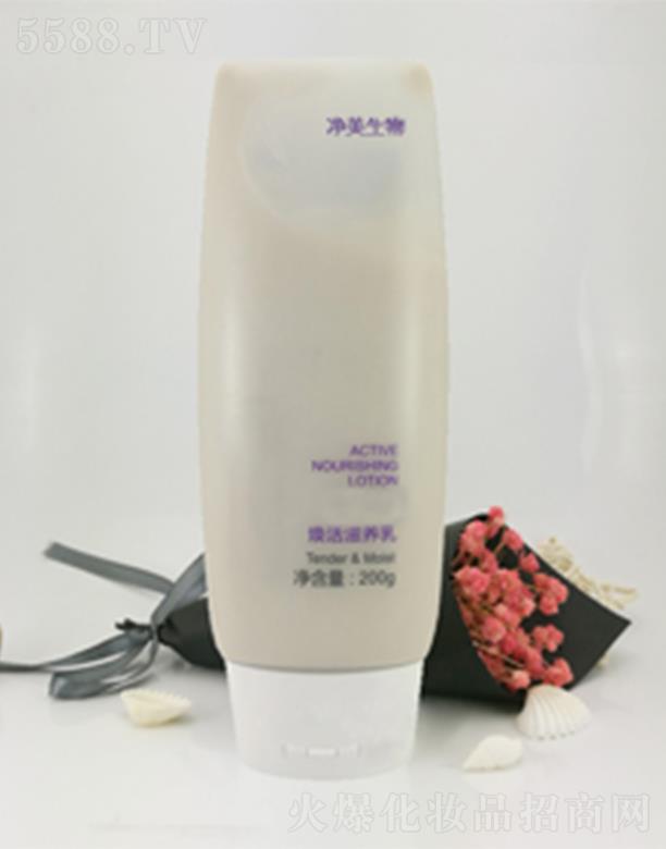 ������������B�� ��͸������������