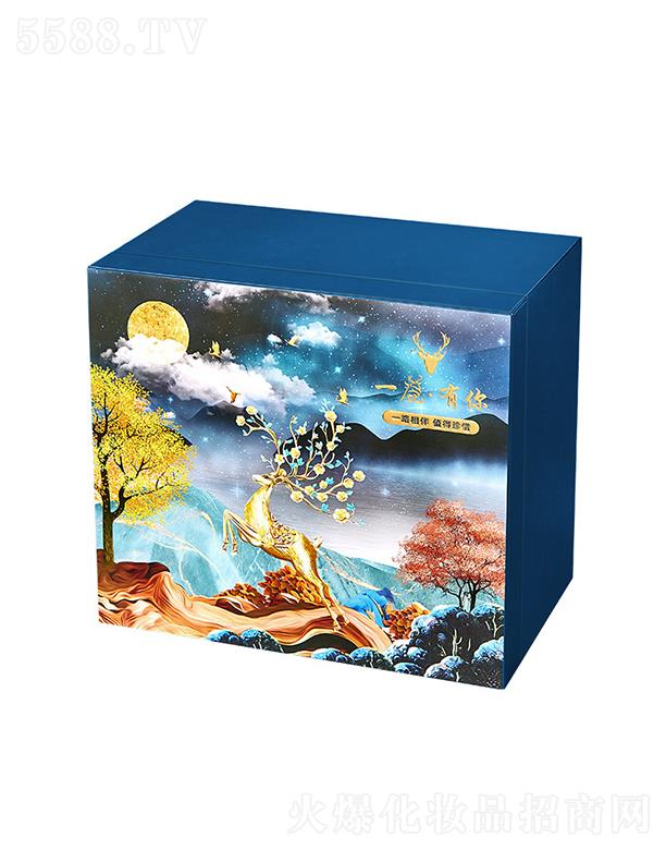 һ¹�����̽��@���y�����Y��