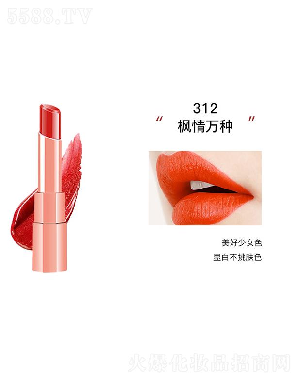 KANݼ�����F���ⴽ��312�����f�N