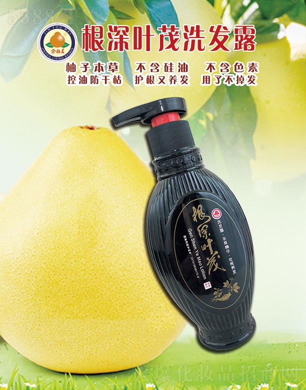 �����������~ïϴ�l¶