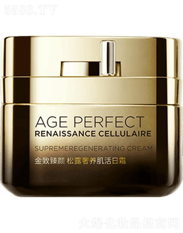 �W�R�Ž��������¶���B������˪  �pӯ����|���p�p������y��