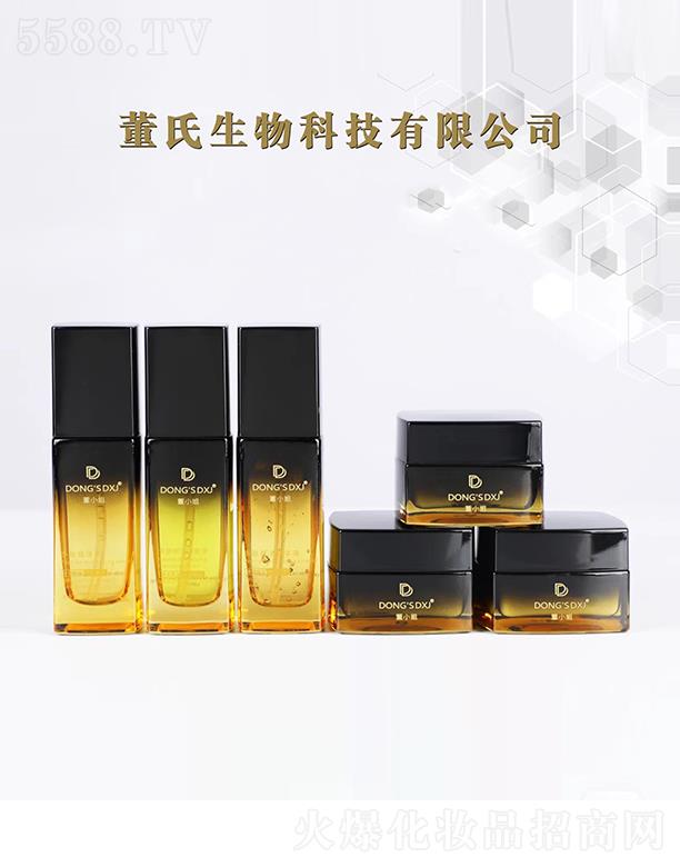 DONGSDXJ�����x�������� �����w���p�B