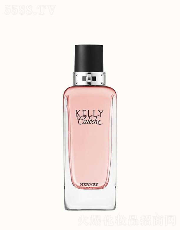 ��(��i)�R�˄P��P��(l��i)Ԋ(sh��)�㾫 100�������C�������������