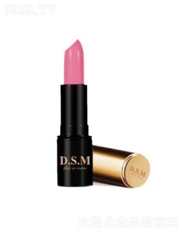 D.S.M��z���������пڼt101 �������|�Ѓ��ŵ��@ʾ��