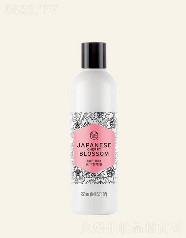 ���wС��ձ��ѻ����w¶ 250ml�o�r(sh��)�o��ɢ�l(f��)���ѻ���