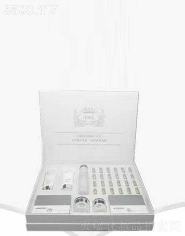 �V���л���ɏ ��������������w�˼���