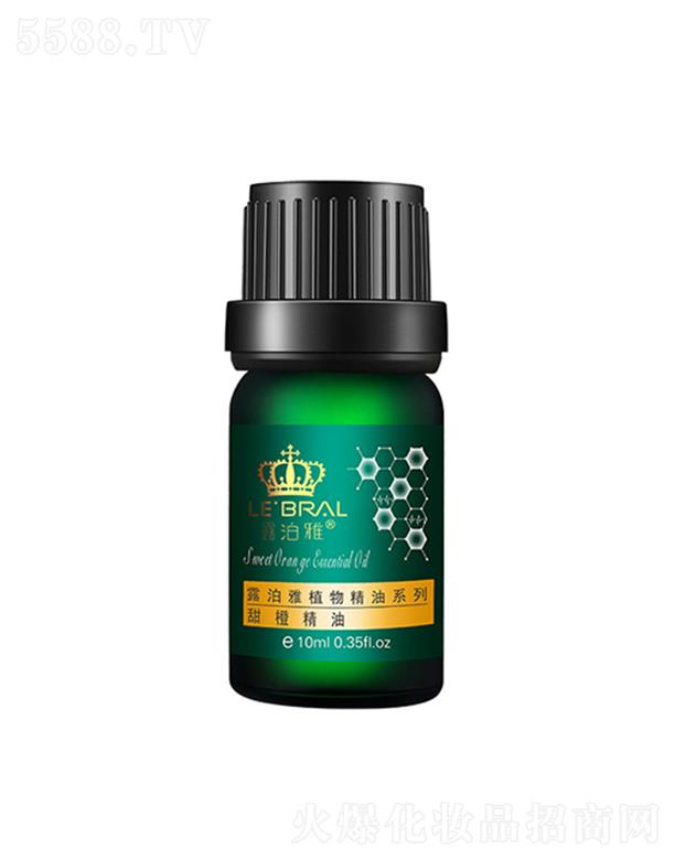 ¶������Ⱦ���