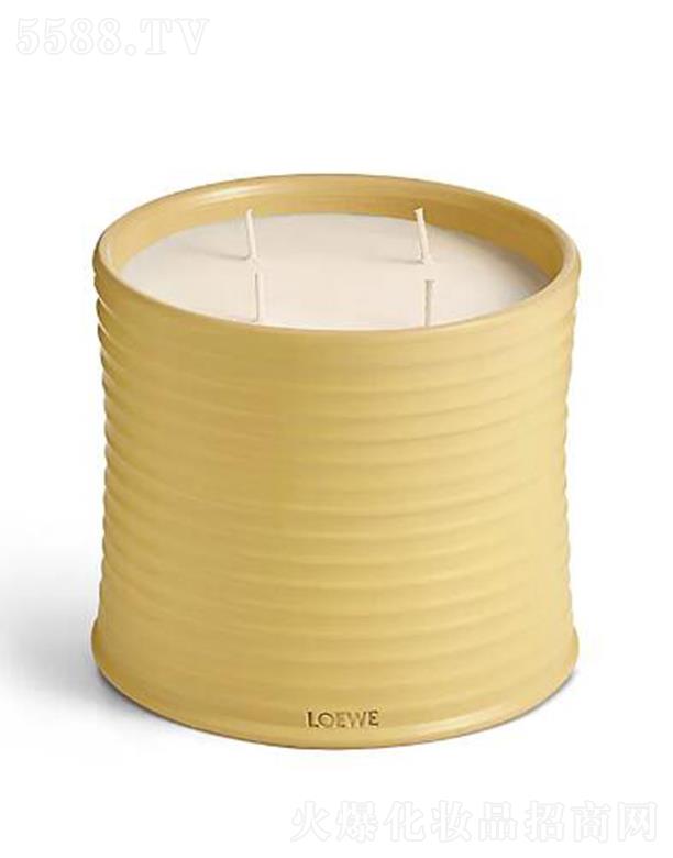 �_������̖���y���㾫Ϟ�T