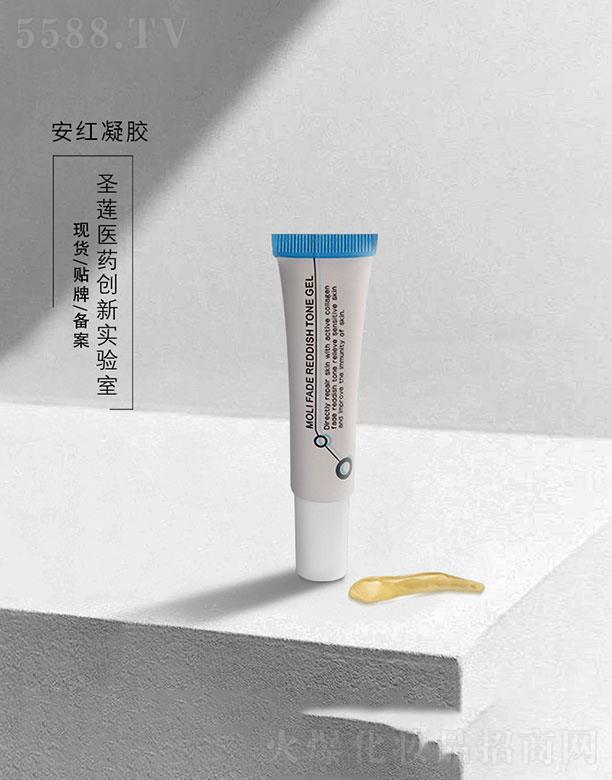 �V��ʥɏ  ʥɏ���t���z   ���o�ʼt