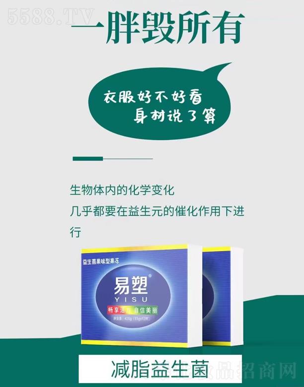 ������������ζ�͹���