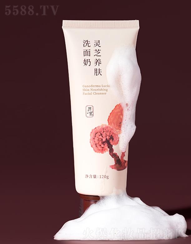 �вݼ��`֥�B�wϴ����