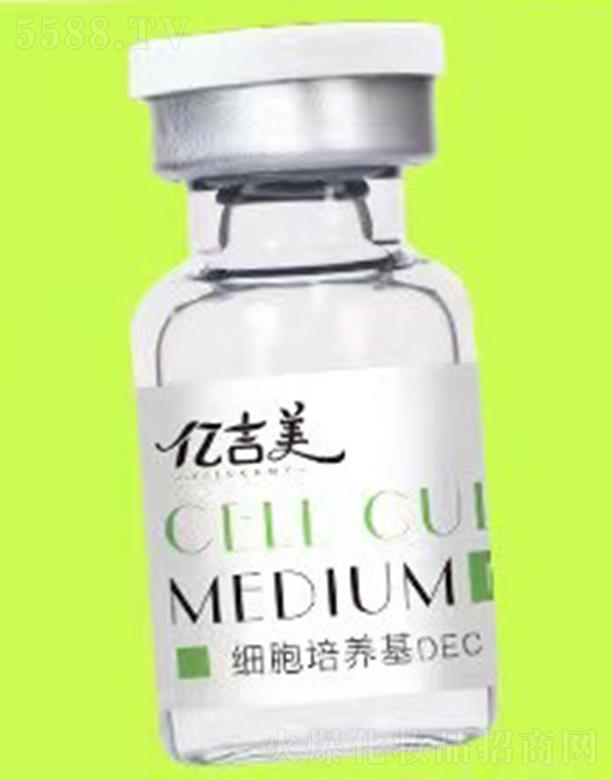 �|�����������B��DEC