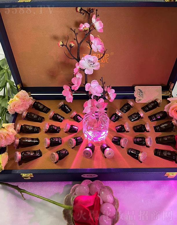 ���������w�B��