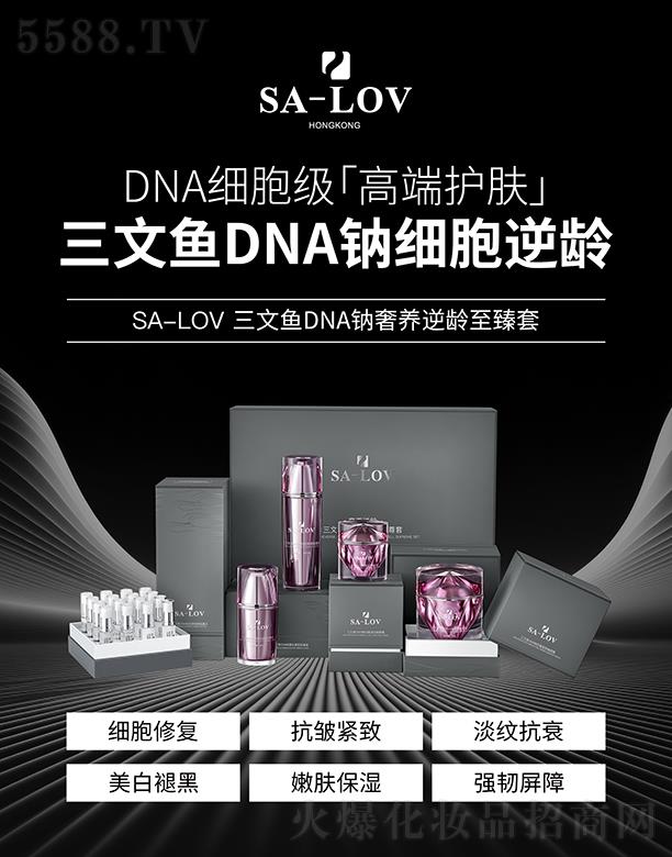 SA-LOV�����~DNA�c��(x��)�����gϵ��