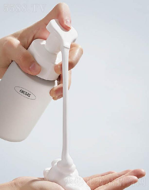 ANCORS�杙���w����Ľ˹