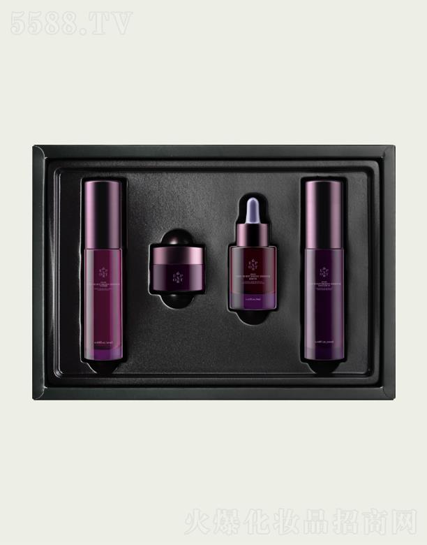 DC EXPORT�����������b