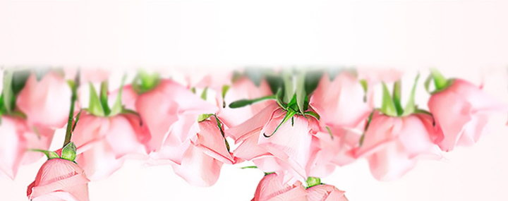 ����Ȫ�ѻ���ʹ