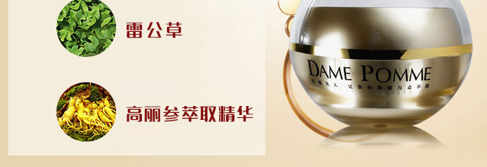 �O������120�ޏ�˪