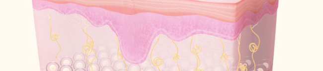 �����p���������x���o(h��)��